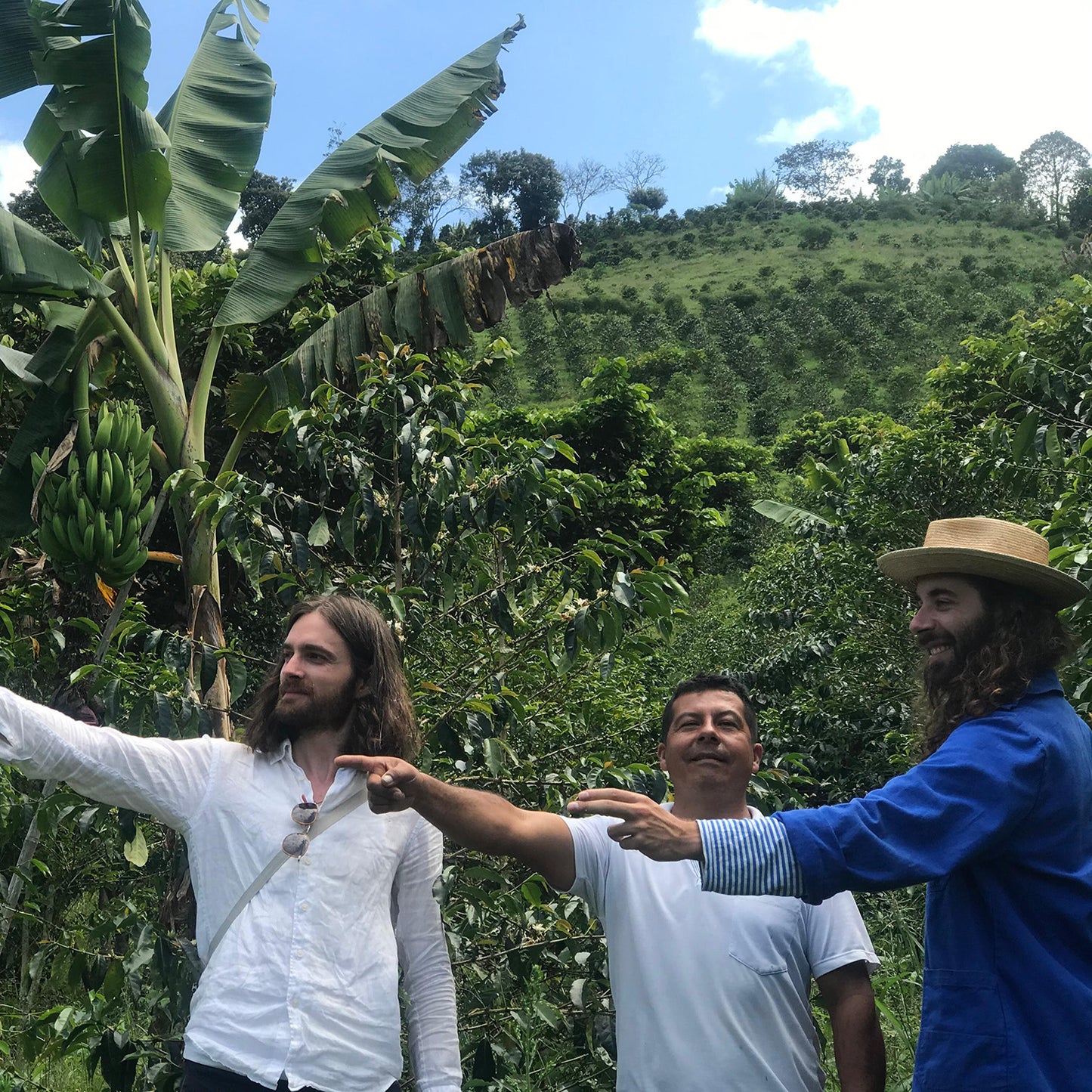 標高1850mに位置する素晴らしいミエル農園