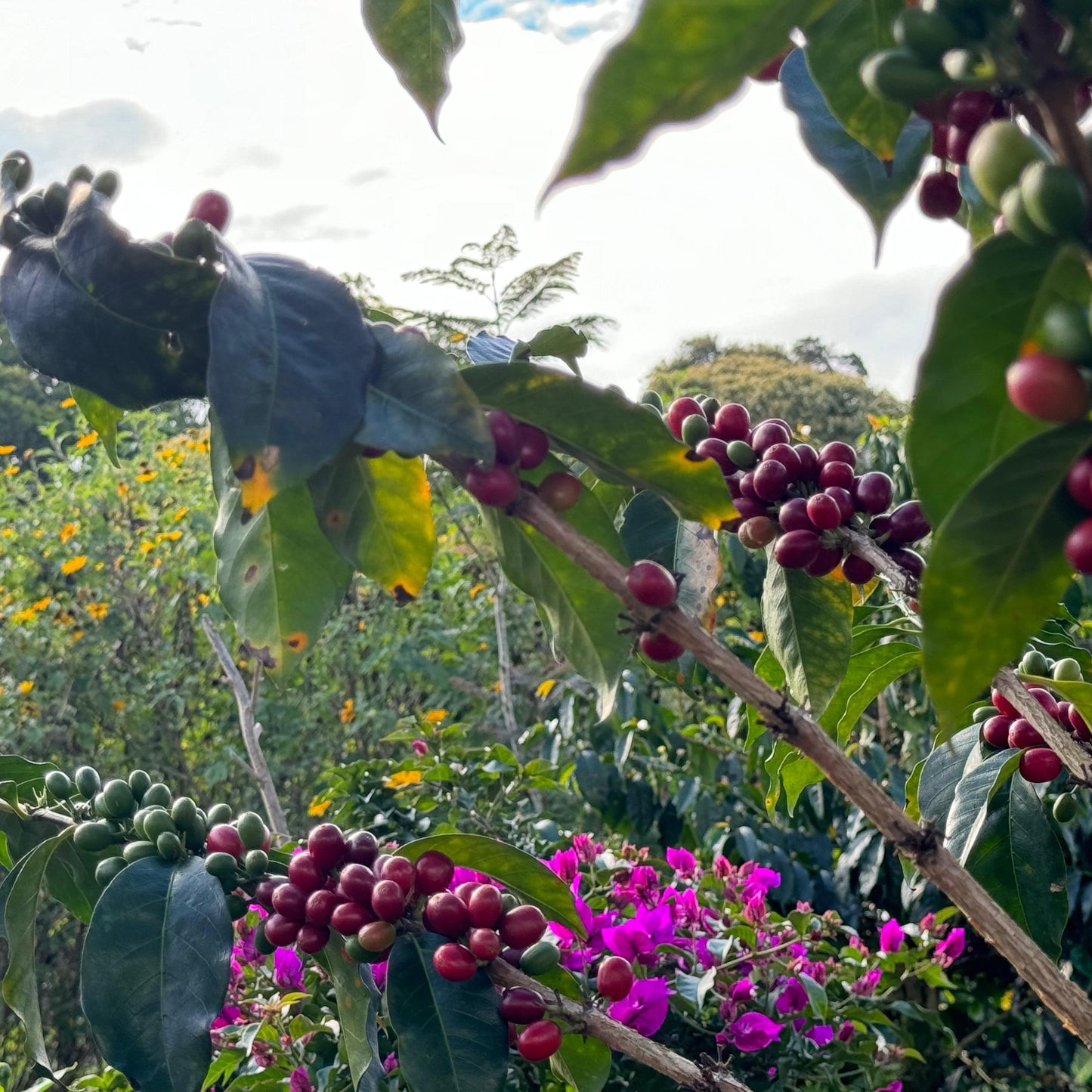 ナチュラ農園は多様な自然に出会える