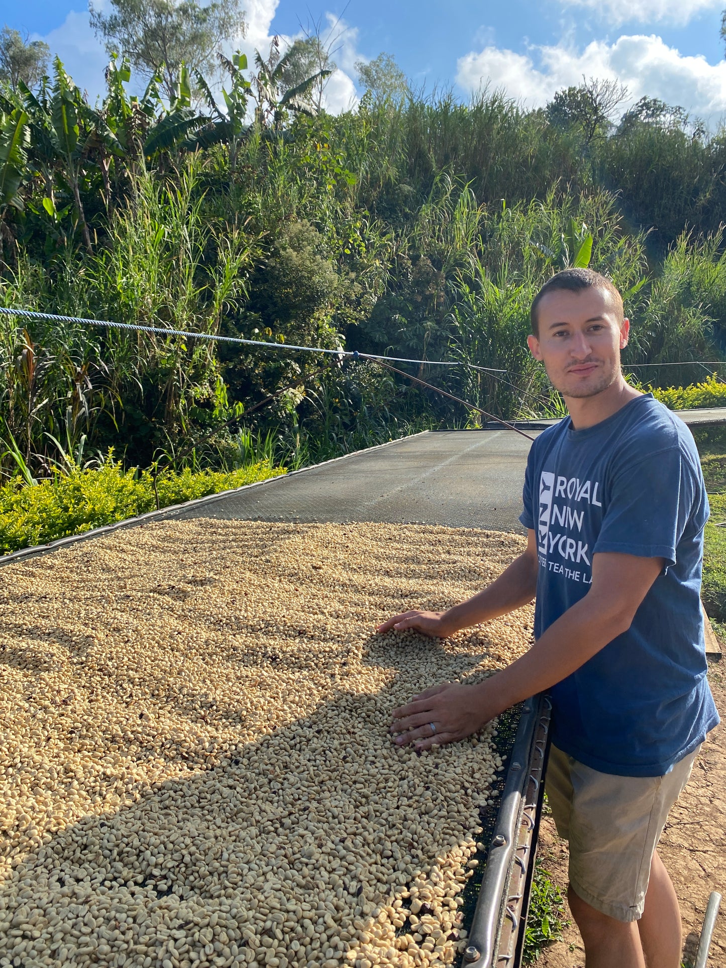 2512-0230E　パルミエラ農園　アベ・デル・パライソ　ピーベリーハニー Finca Palmilera AVE DEL PARAISO PEABERRYHONEY