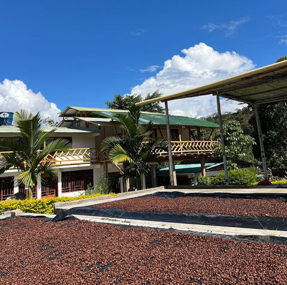 セレサ農園 ゲイシャ Finca La Cereza Geisha Cereza Honey 202