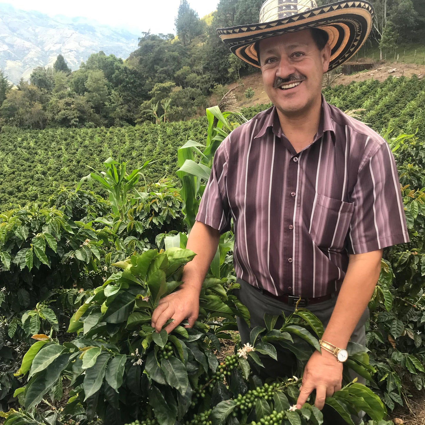 農園主 Libardo Martinez  リバルド・マルティネス