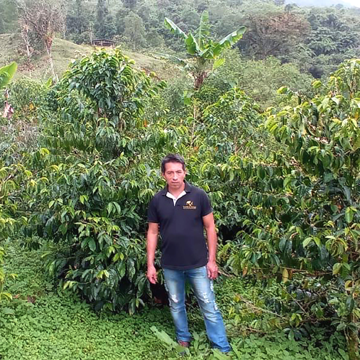 フォレスタ農園を守る農園主フェルナンド・ヒロン