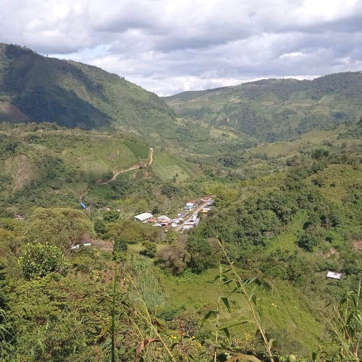 標高2000メートルの独自のテロワールが育てるエキゾチックな品種