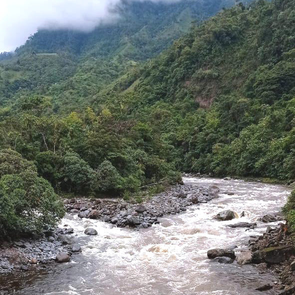 コロンビアの最奥、神秘的なフォレスタ農園