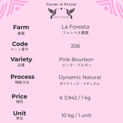 フォレスタ農園 ピンク・ブルボン Finca La Foresta Pink Bourbon Dynamic Natural 206
