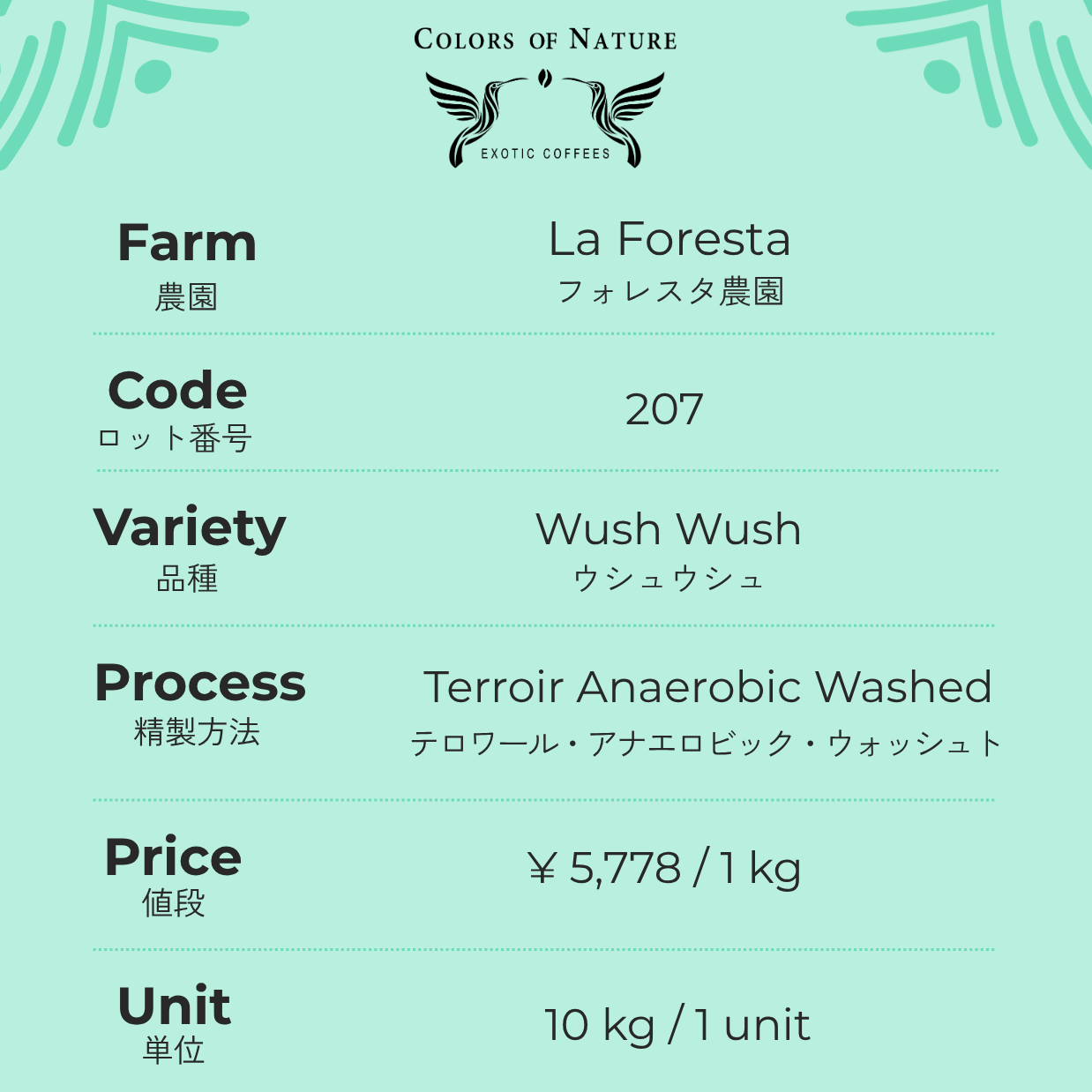 フォレスタ農園 ウシュウシュ Finca La Foresta Wush Wush Terroir Anaerobic Washed 207