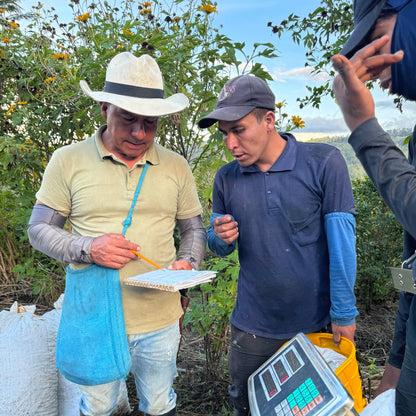 丁寧な作業で品質を守り続けるミゲル・アンヘル・ボティーナとピッカーたち