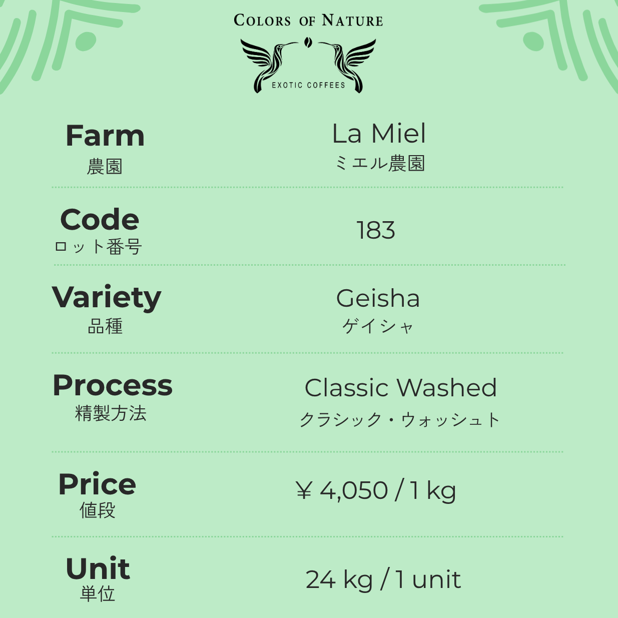 ミエル農園 ゲイシャ Finca La Miel Geisha Classic Washed 183