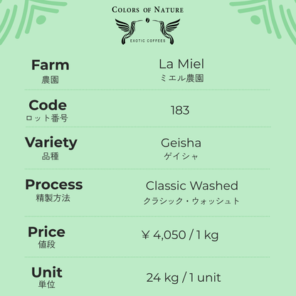 ミエル農園 ゲイシャ Finca La Miel Geisha Classic Washed 183