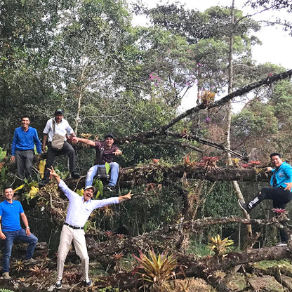 ナチュラ農園にようこそ
