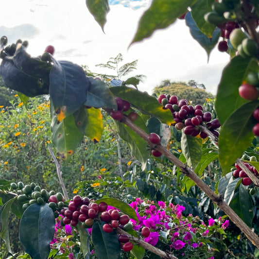 ナチュラ農園は多様な自然に出会える