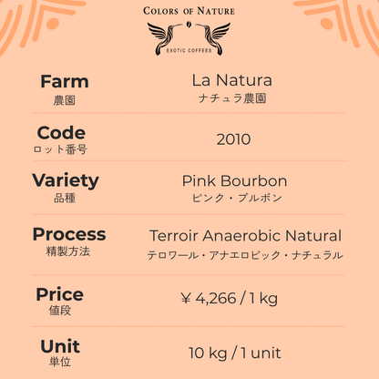ナチュラ農園 ピンク・ブルボン Finca La Natura Pink Bourbon Terroir Anaerobic Natural 2010
