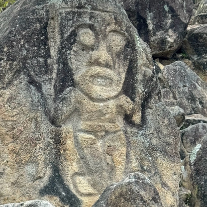 San Agustin Special Reserve カトゥーラ&ブルボン Caturra&Bourbon Terroir Washed 016SFSR